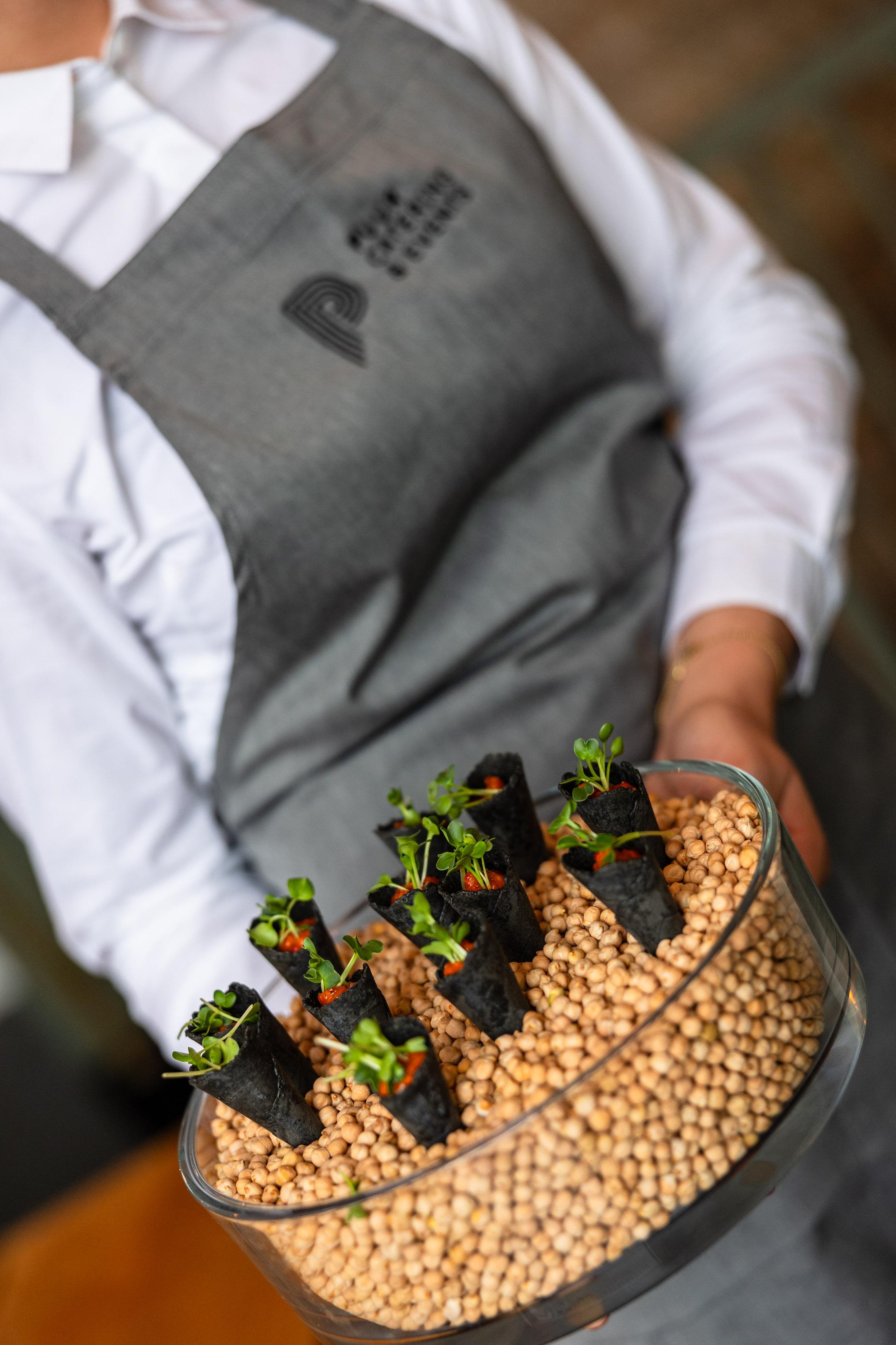 Vegetarische catering Amsterdam